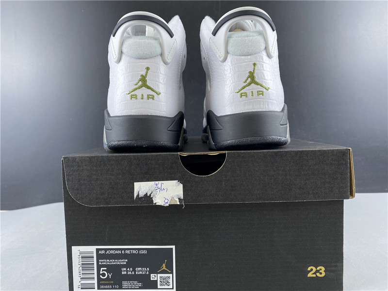air jordan 6 gs alligator 384665-110