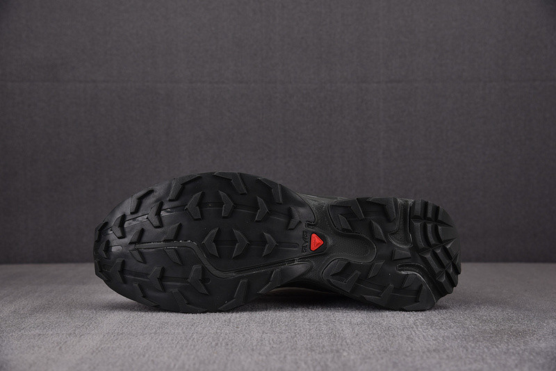 salomon xt-6 ft